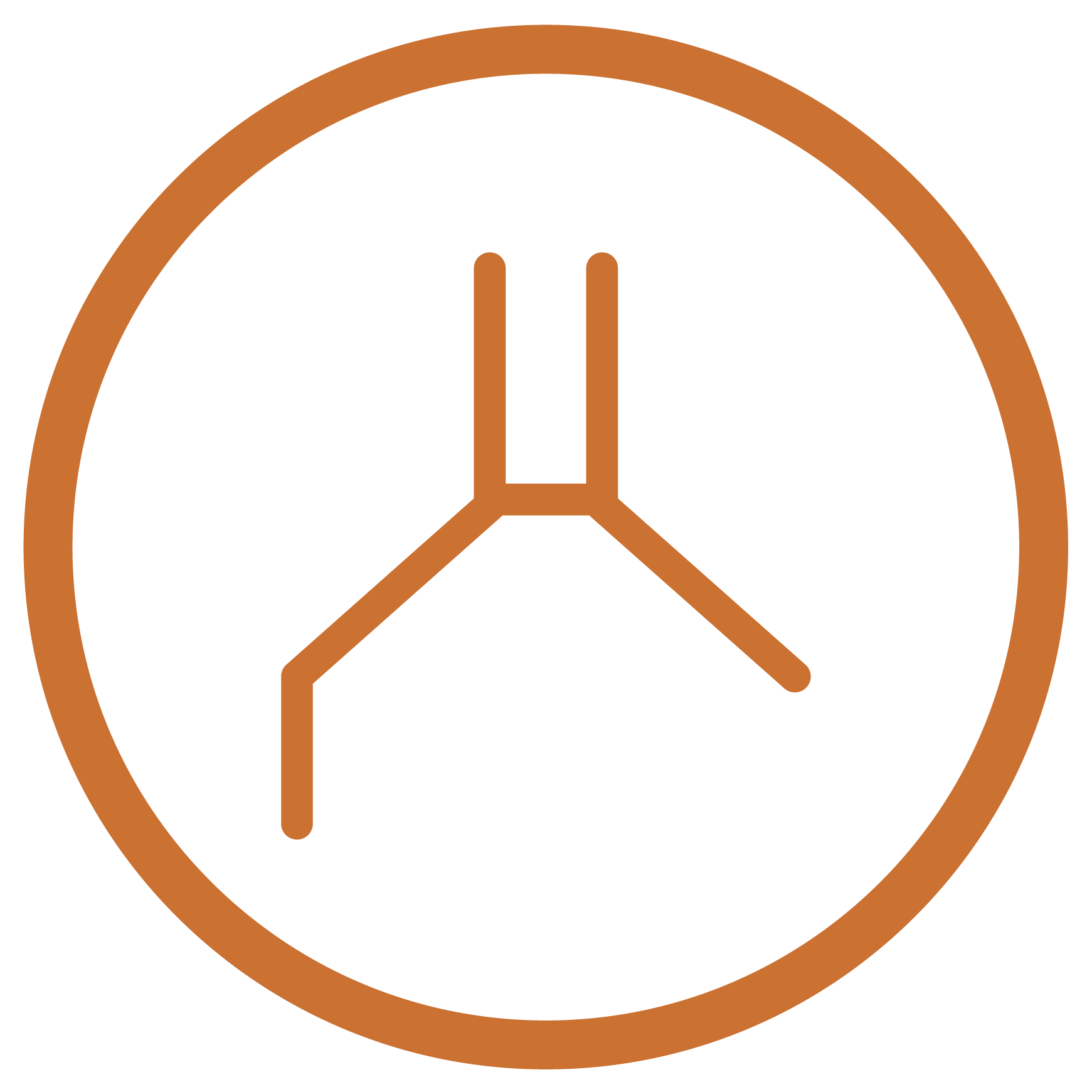 COLÁGENO TIPO I E III