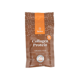 Sachê Collagen Protein Chocolate