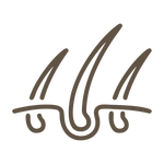 Fortalecimento de unhas e cabelos